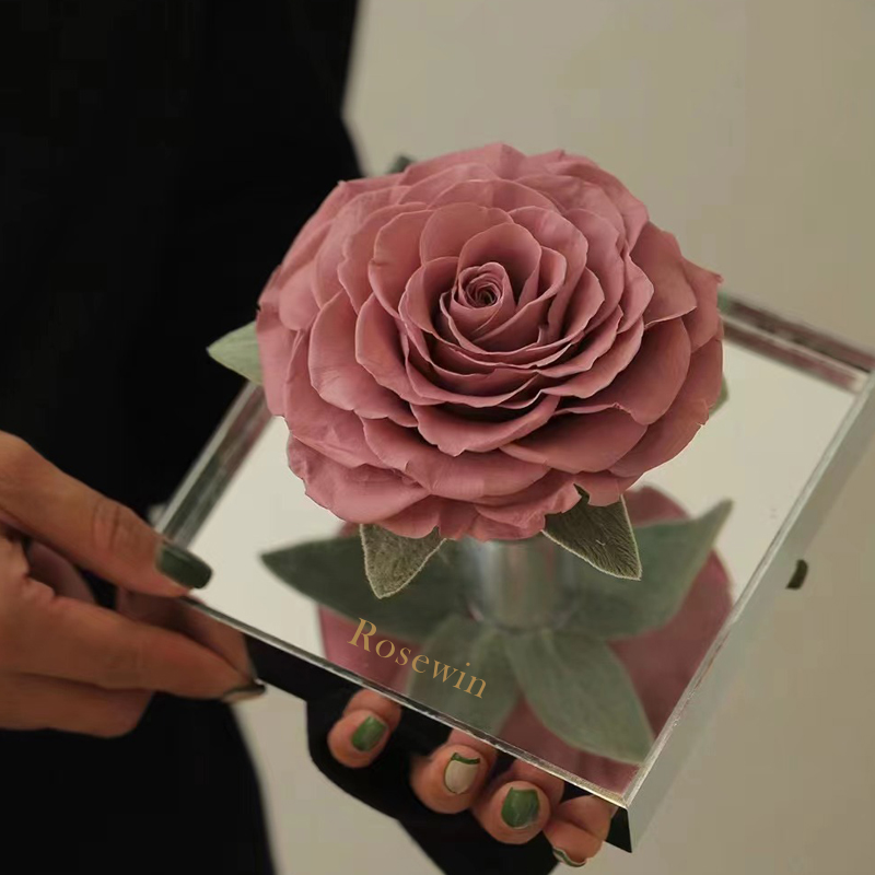 鮮花怎樣制作成干花