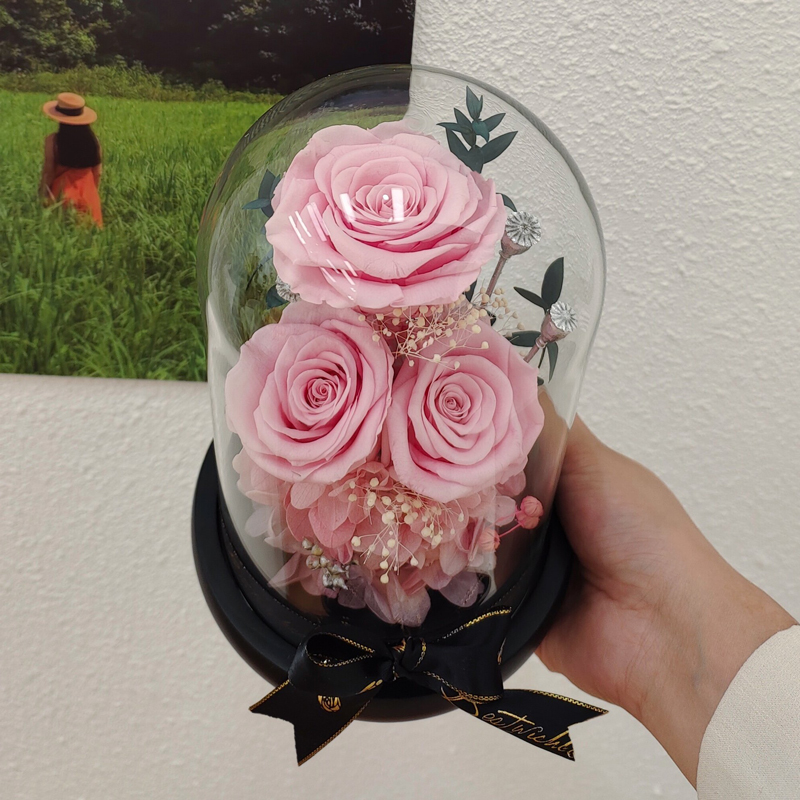 闽江学院 花店