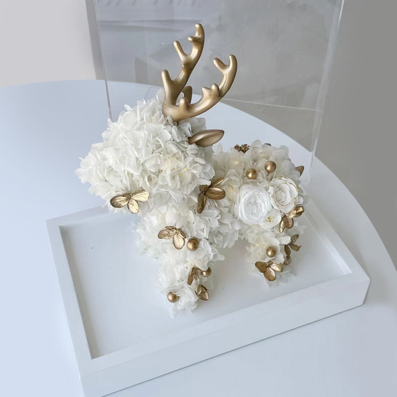amyrose永生花怎么樣