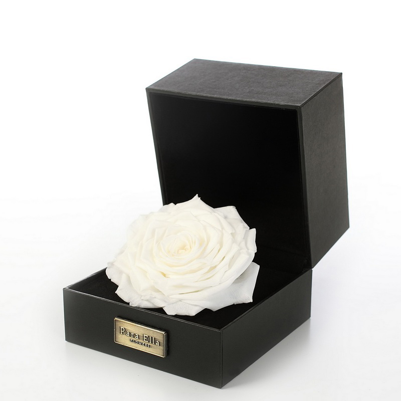 網(wǎng)絡(luò)花店 茂名