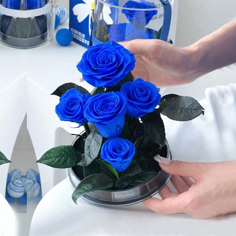 沂南花店