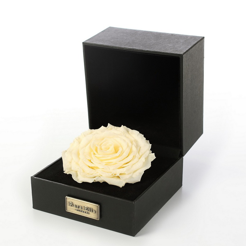 哪個(gè)網(wǎng)站有鮮花買？Rosewin鮮花，您的高品質(zhì)花藝之源