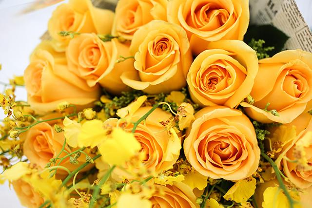 黄玫瑰和香槟玫瑰有什么不一样