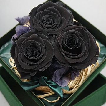 黑玫瑰花盒