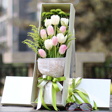 郁金香花束