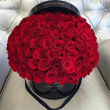 紅玫瑰花抱抱桶