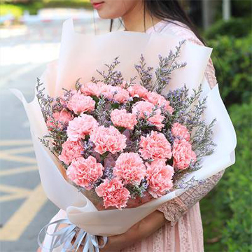康乃馨花束