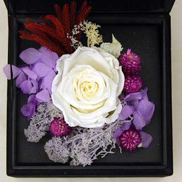 白玫瑰花盒