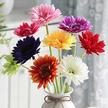瓶插花扶郎花