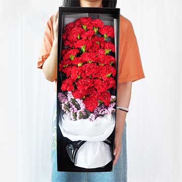 花束康乃馨花束