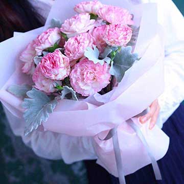 粉色康乃馨花