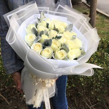 白玫瑰圖片