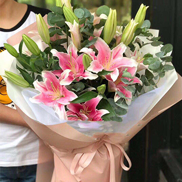 粉百合花