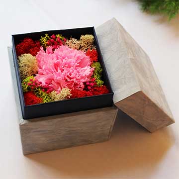 康乃馨花盒
