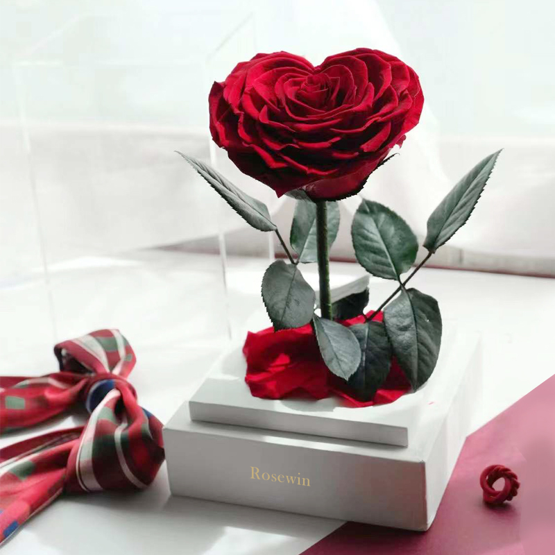 单支红玫瑰永生花礼盒