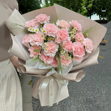 母爱-19朵粉色康乃馨
